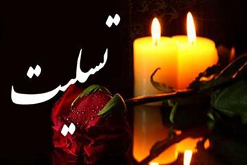 علی اعطا پیام تسلیت سخنگوی شورای شهر تهران در پی درگذشت تعدادى از شهروندان در حادثه کلینیک سینا